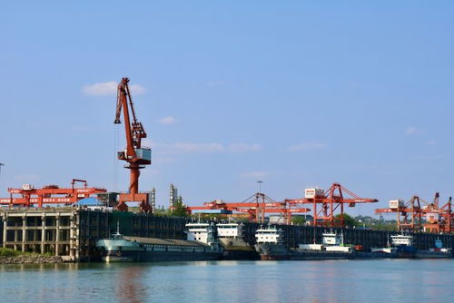 奮戰紅五月，瀘州水運吹響發展進軍號 碼頭建設與管理并舉，激活長江上游黃金水道